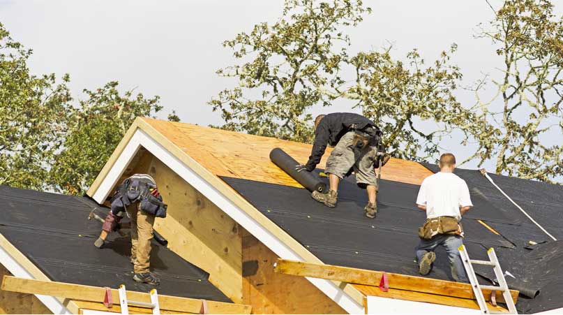 T20 2023 Herbalife Active Catch of Week 8